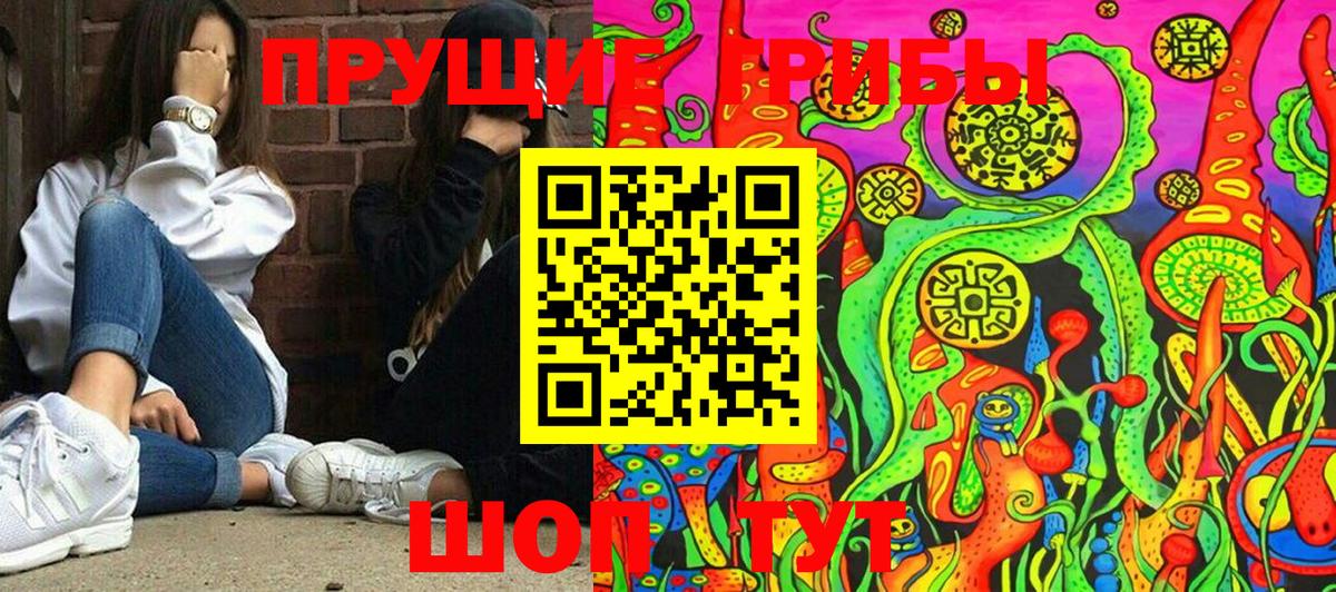 Электрогорск  цены наркотик  Вход с VPN  Галлюциногенные грибы Cubensis 